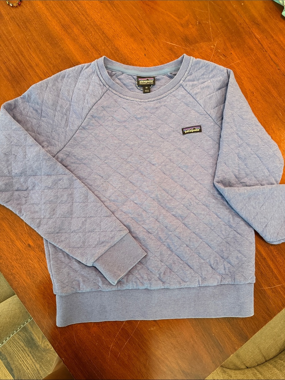 Patagonia womens Quilted Crewneck Sweatshirt - Light Blue
